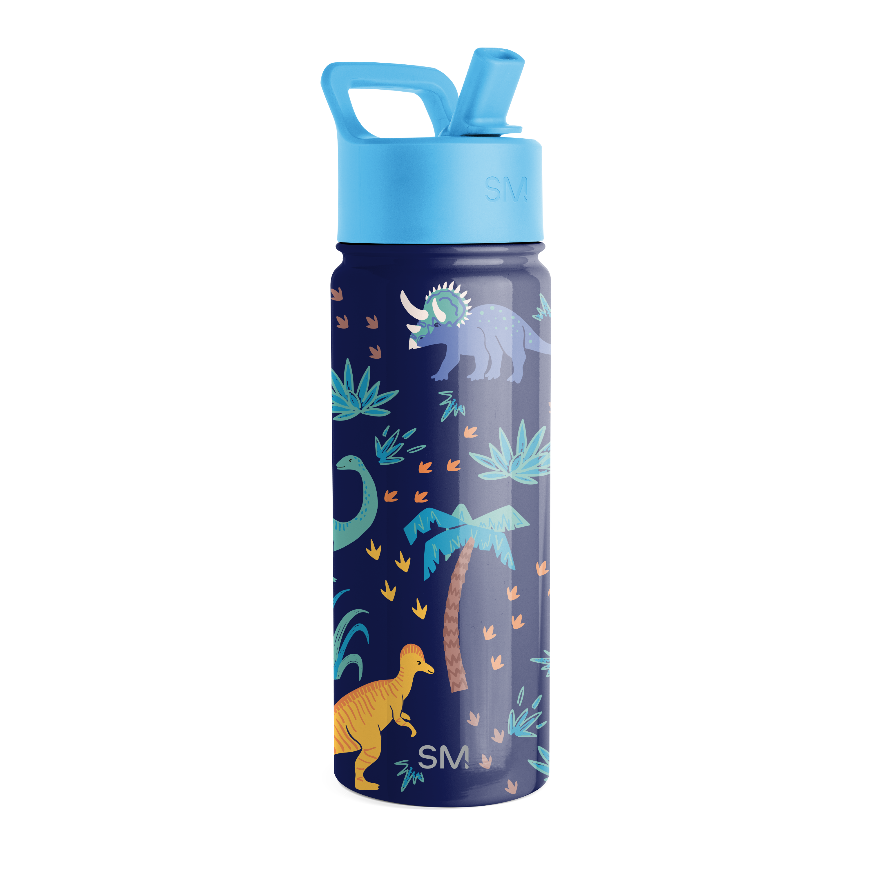 Summit Kids Water Bottle with Straw Lid - 18oz - SMC - Jurassic Jungle